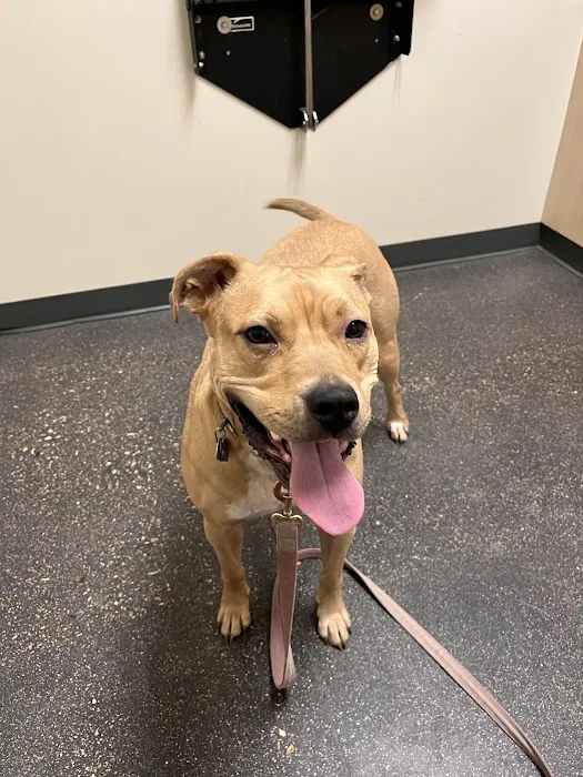 Vetco Total Care Animal Hospital 5