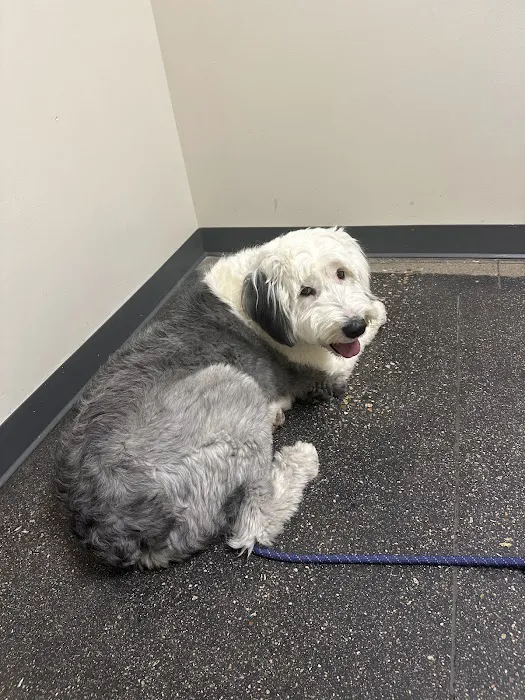 Vetco Total Care Animal Hospital 9