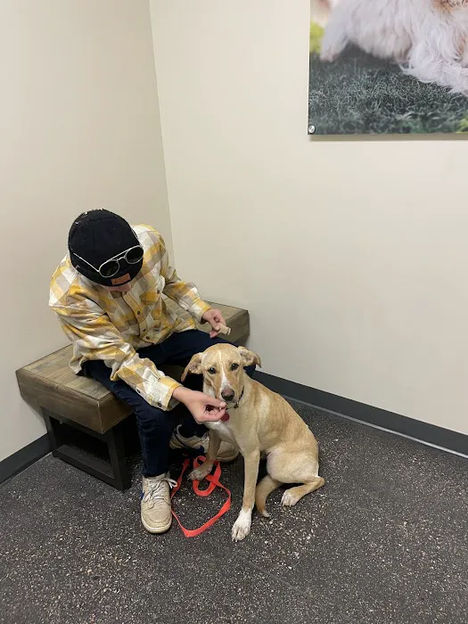 Vetco Total Care Animal Hospital 8
