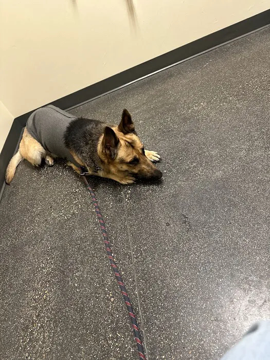 Vetco Total Care Animal Hospital 6