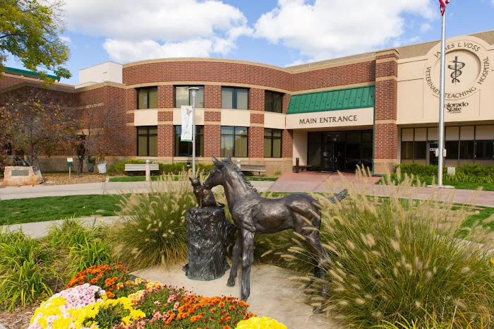Colorado State University Veterinary Teaching Hospital 7