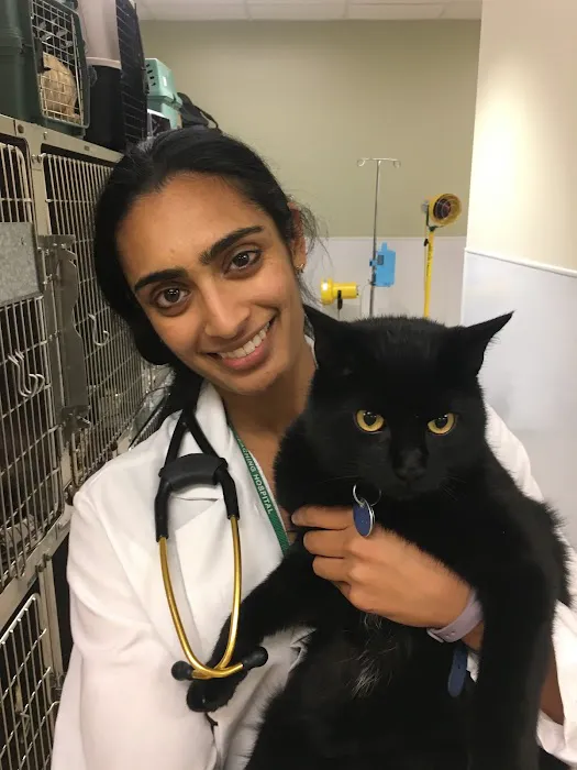 Colorado State University Veterinary Teaching Hospital 2