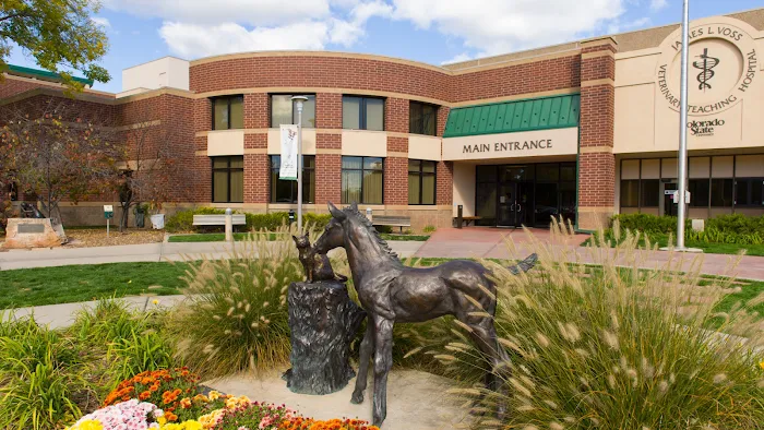 Colorado State University Veterinary Teaching Hospital 6