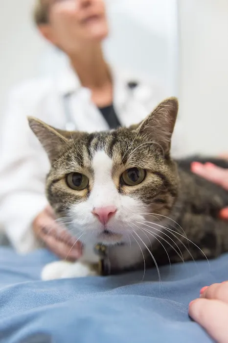 Colorado State University Veterinary Teaching Hospital 1