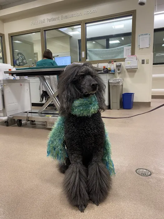 CSU Flint Animal Cancer Center 4