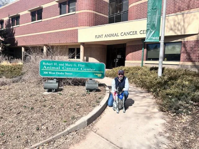 CSU Flint Animal Cancer Center 1