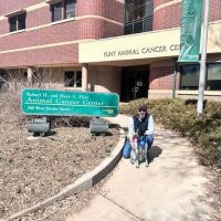 CSU Flint Animal Cancer Center ico