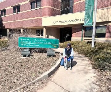 CSU Flint Animal Cancer Center