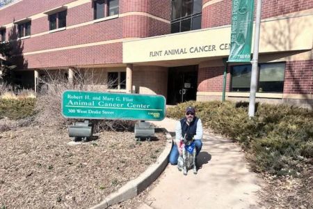 CSU Flint Animal Cancer Center