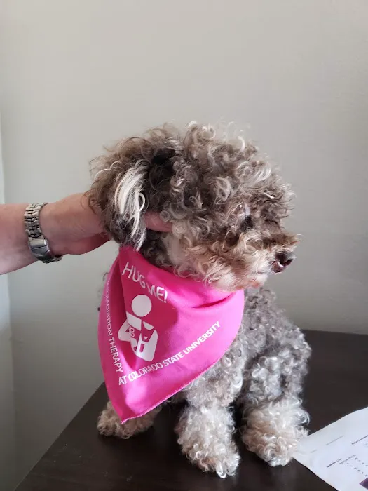 CSU Flint Animal Cancer Center 3