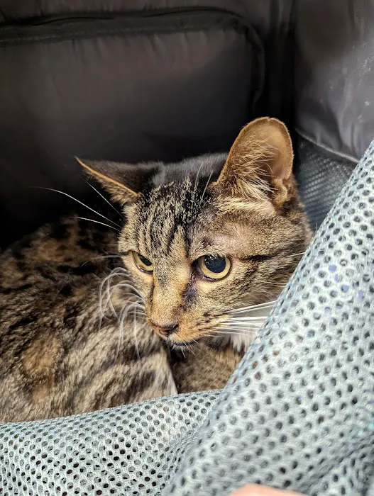 CSU Flint Animal Cancer Center 5