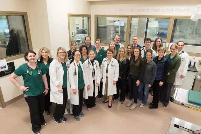 CSU Flint Animal Cancer Center 10