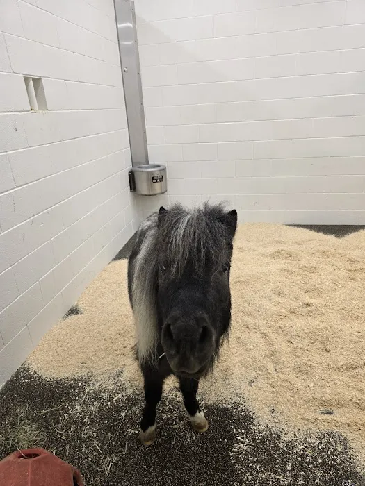 Johnson Family Equine Hospital 4