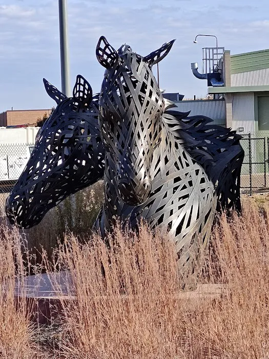 Johnson Family Equine Hospital 2