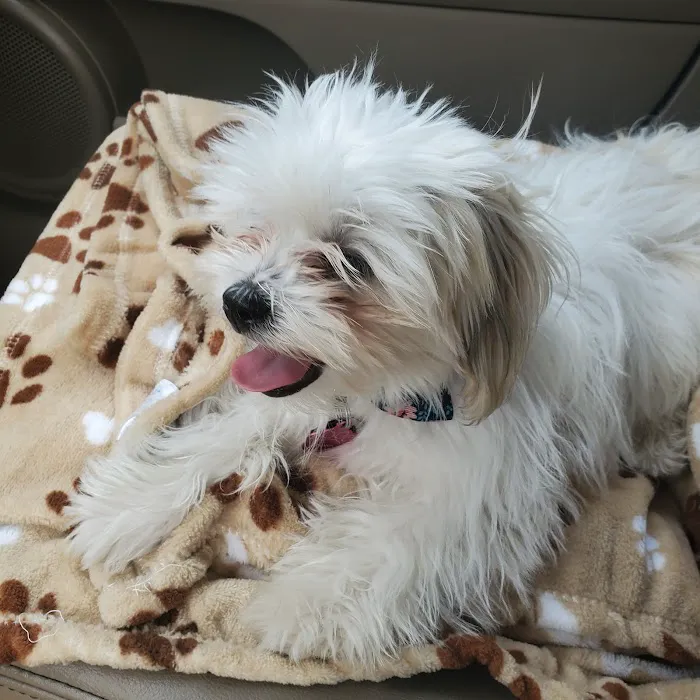Paws 'N Claws Veterinary Clinic 12