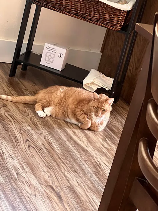Paws 'N Claws Veterinary Clinic 12