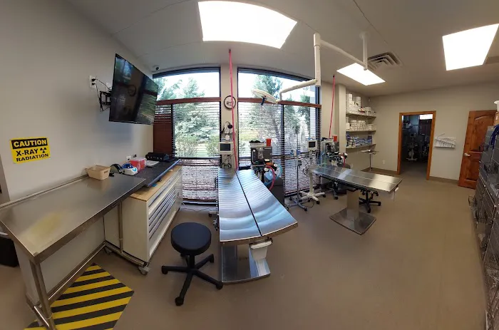 Animal Works - Veterinary Surgery 9