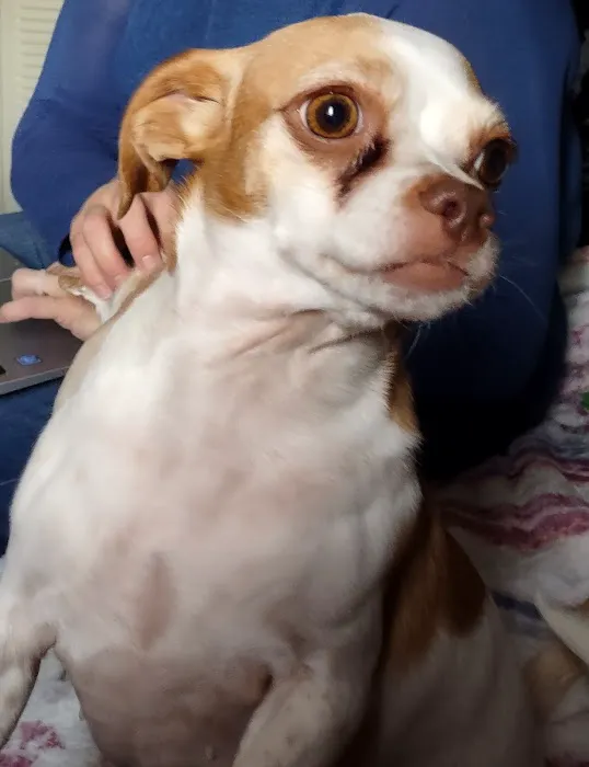 Raintree Animal Hospital 5