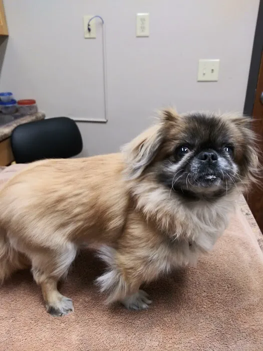 Raintree Animal Hospital 6