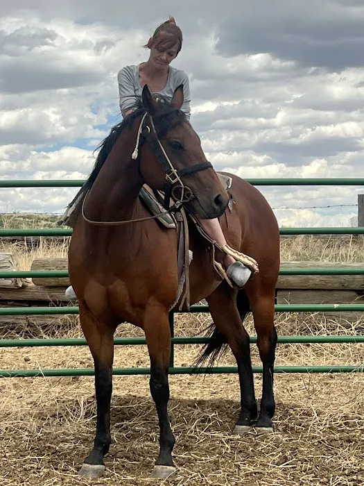Block & Bridle Veterinary Service 7