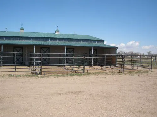 Block & Bridle Veterinary Service 3