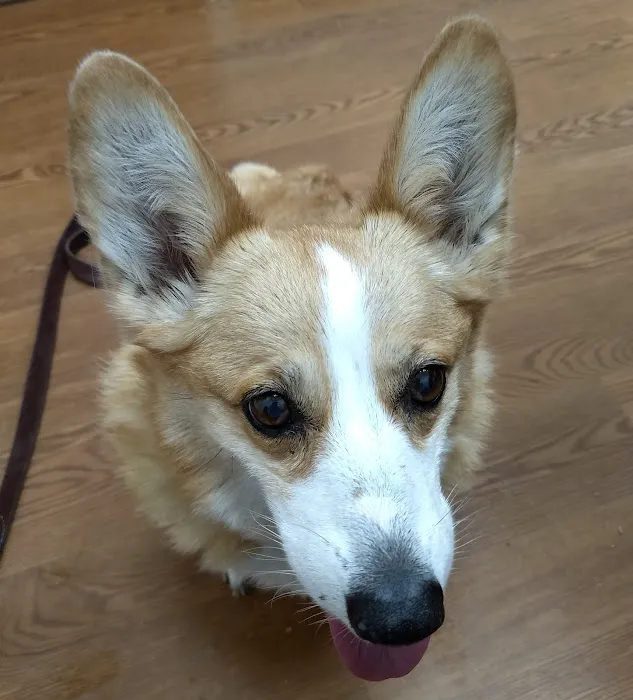 Cook Veterinary Hospital 12