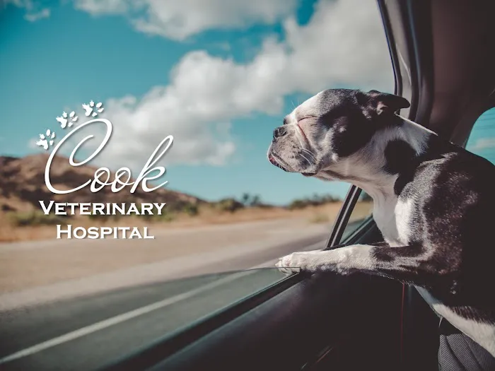 Cook Veterinary Hospital 12