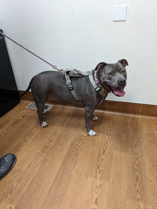 Cook Veterinary Hospital 12