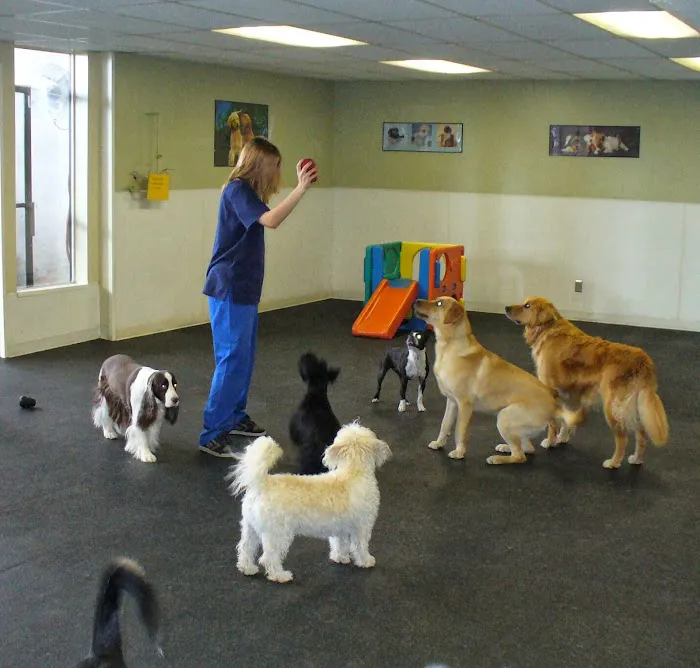 VCA Northwest Animal Hospital 12