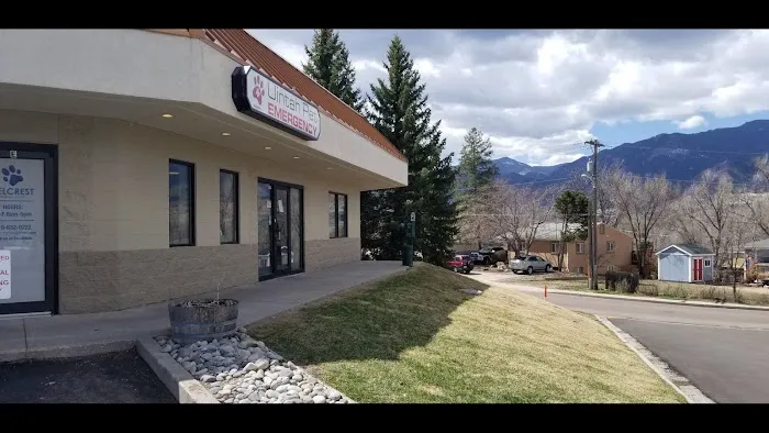 Uintah Pet Emergency 12