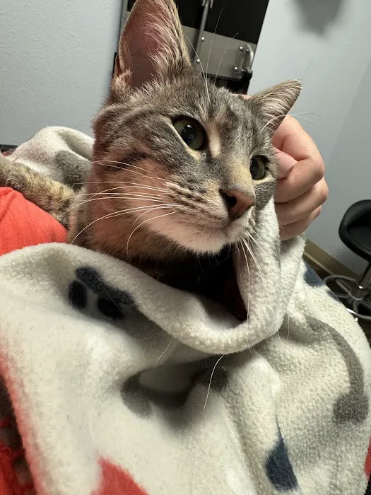 Uintah Pet Emergency 12