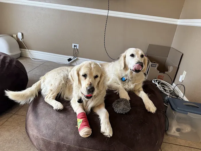 Uintah Pet Emergency 12