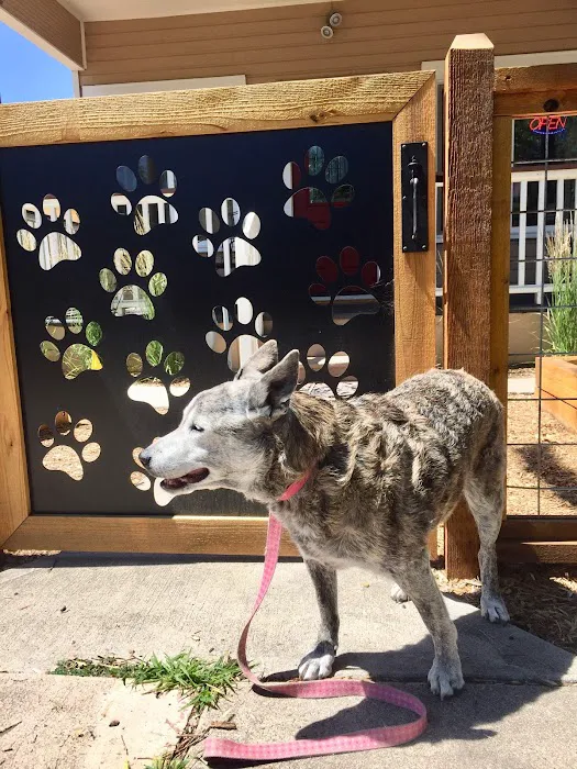 Healing Path Animal Wellness 7