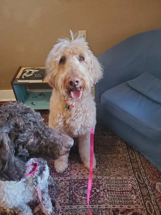 Healing Path Animal Wellness 5