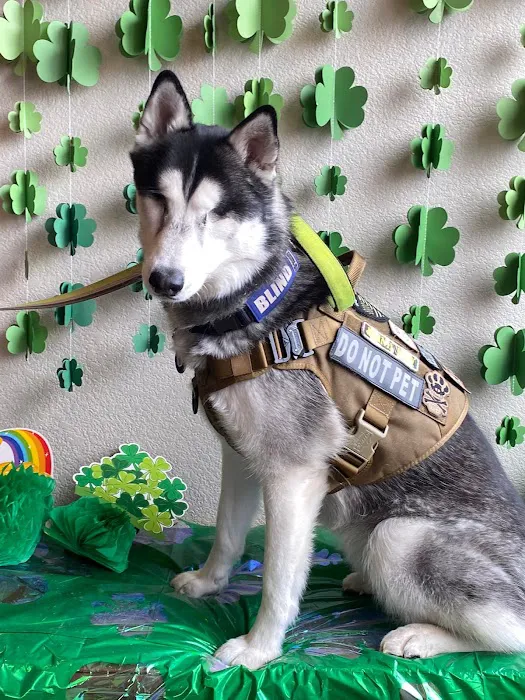 Westside Animal Hospital 12