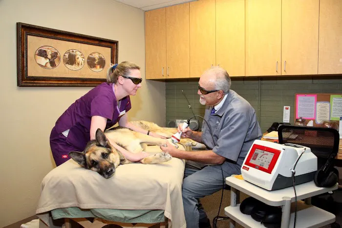 Westside Animal Hospital 12
