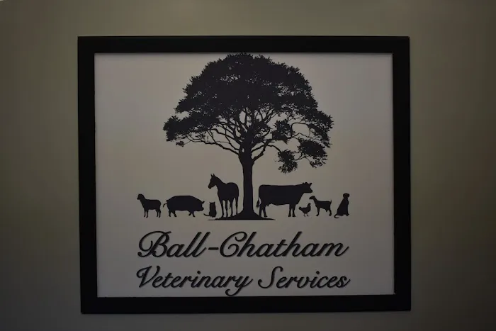 Ball-Chatham Veterinary Services 12