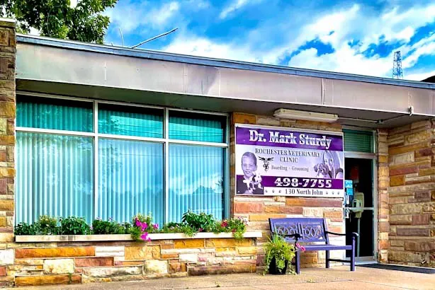 Rochester Veterinary Clinic 12