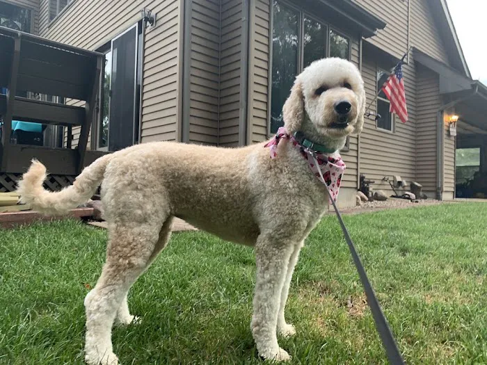 Rochester Veterinary Clinic 12