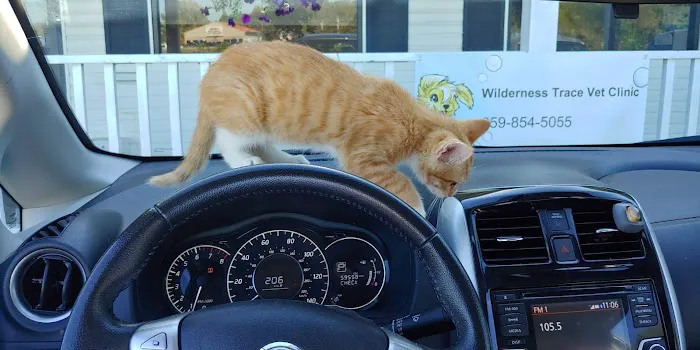 Wilderness Trace Veterinary Clinic 12
