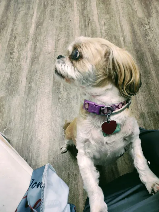 Countryside Animal Hospital 6