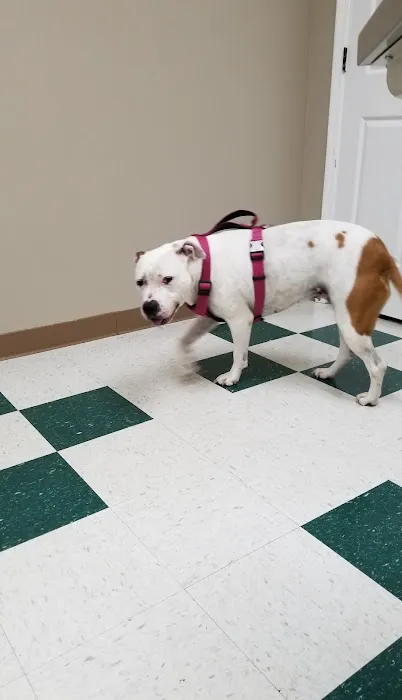 Countryside Animal Hospital 8