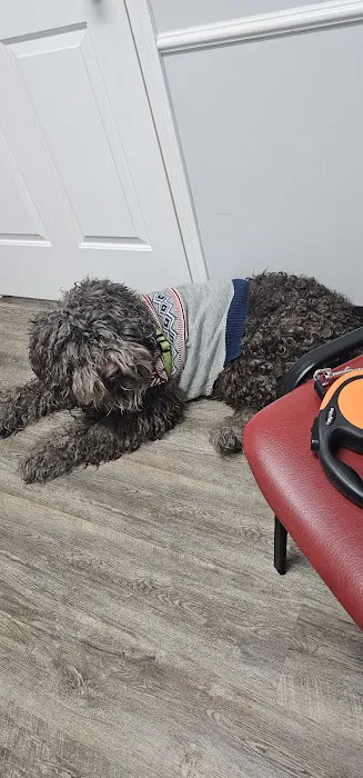 Countryside Animal Hospital 7
