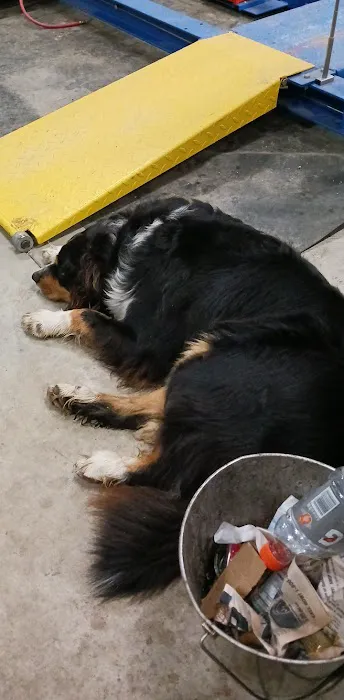 Mt Sterling Veterinary Hospital 1