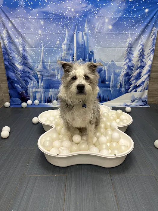 Banfield Pet Hospital 5