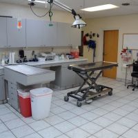 Tri County Animal Emergency Clinic ico