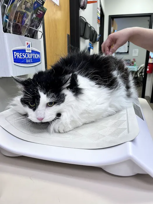 Pekin Veterinary Clinic 5