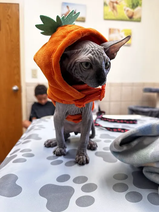 Pekin Veterinary Clinic 7