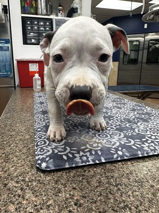 Pekin Veterinary Clinic 9