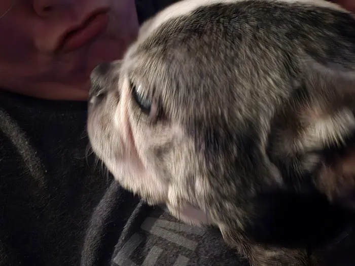 Lange Animal Clinic 6